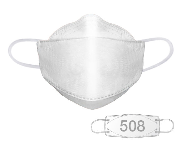 Dent-X FN-N95-508 Canada Strong respirator mask